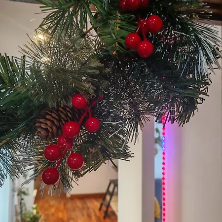 Casa Gesi Apartment Rome