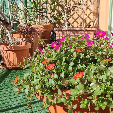 Casa Gesi Apartment Rome