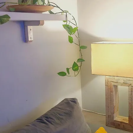 Apartman Casa Gesi *
