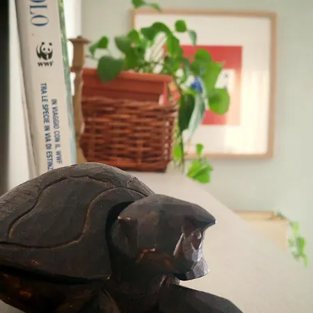 Appartamento Casa Gesi