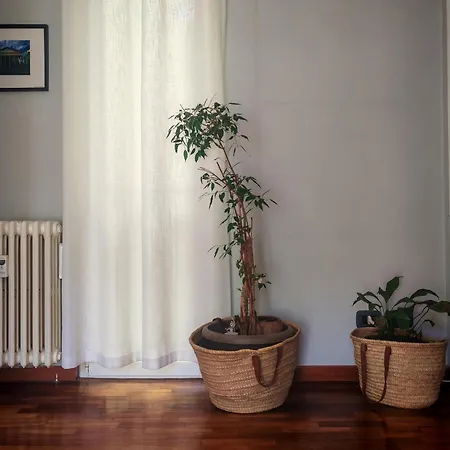 Casa Gesi 아파트 *